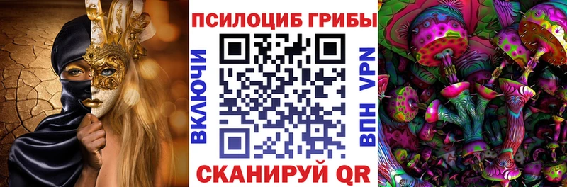 Псилоцибиновые грибы Psilocybine cubensis  Шимановск 